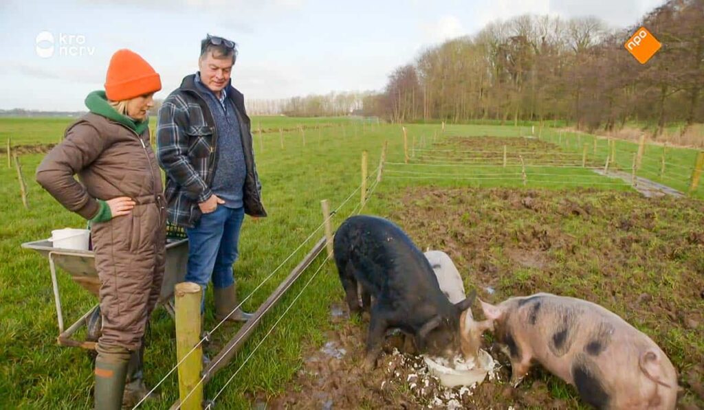 Varkensboer Kees en Yvon Jaspers staan in de wei naar etende varkens te kijken in televisieprogramma Onze Boerderij en Nu Zelf.